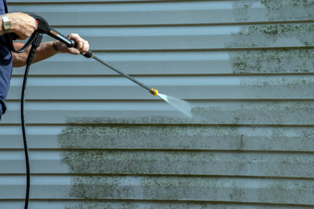 Trusted Philipsburg, MT Pressure washing Experts